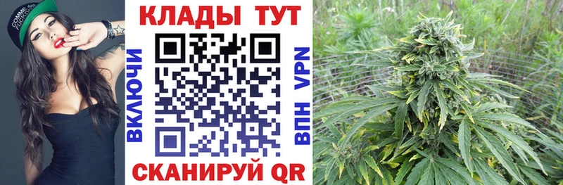 Купить наркотики цена Каменногорск Каннабис  КОКАИН  Гашиш  Меф 