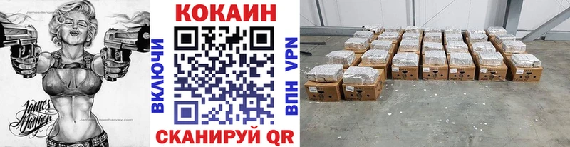 цены наркотик  Каменногорск  Кокаин Fish Scale 