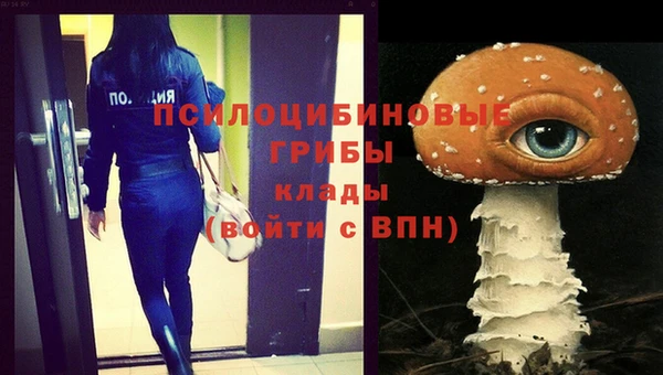 круглые Ельня