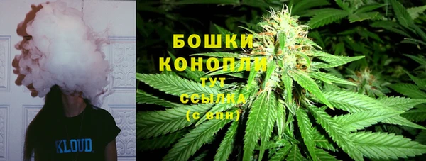 круглые Ельня