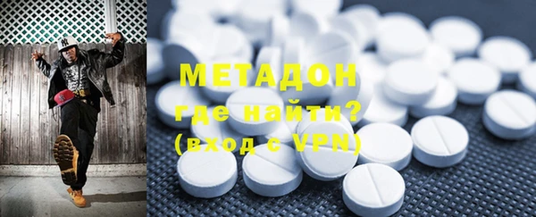 индика Каменка