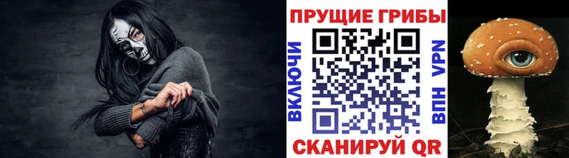 KRAKEN зеркало  Каменногорск  Галлюциногенные грибы GOLDEN TEACHER  как найти закладки 